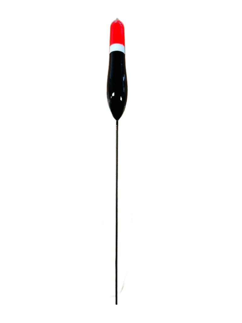 Plūdė SHARK