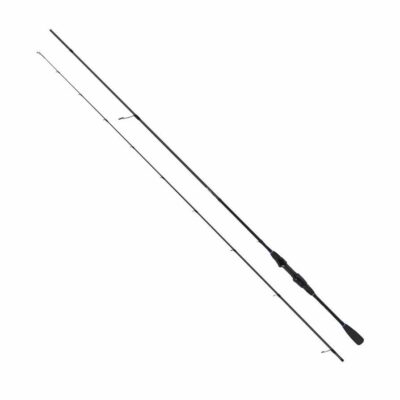 SPININGAS ROBINSON TOSHIDO SPIN 2,90M, 6-22G