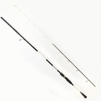 Spiningas Port Nando 240cm. 10-20g