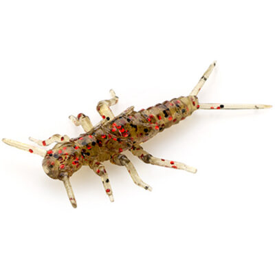 Silikoninis masalas FishUp Stonefly 0.75" (12pcs.), #045 - Green Pumpkin/Red & Black