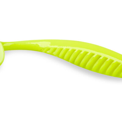 Silikoninis masalas IAM PIONEER 100 mm, F20, 5 pcs