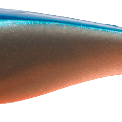 Silikoninis masalas Narval Commander Shad 10cm #001-Blue Back Shiner