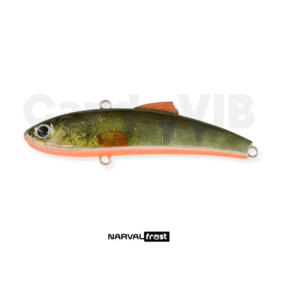 Screenshot 2023 12 22