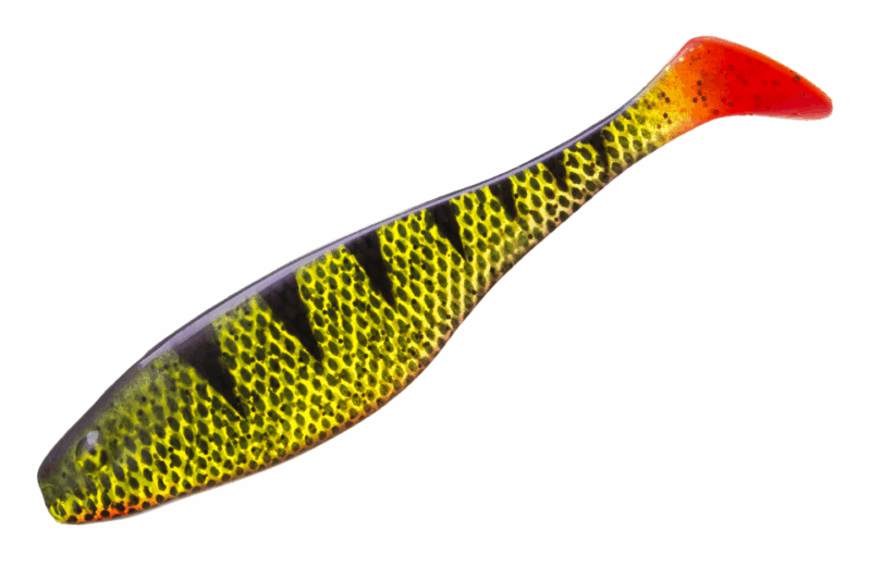 Cmm20