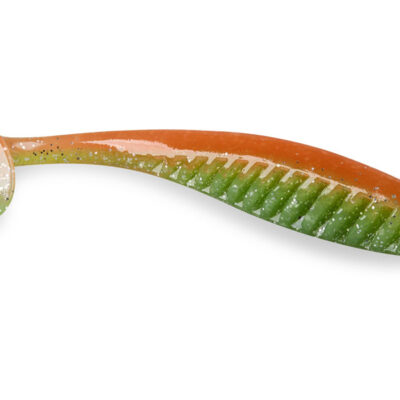 Silikoninis masalas IAM PIONEER 100 mm, F16, 5 pcs