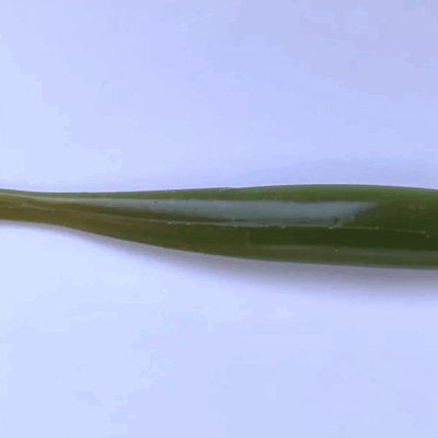 Silikoninis masalas SNIPER 4 inches (100mm) GM22