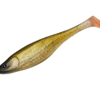 Silikoninis masalas Narval Commander Shad 10cm 5 vnt. #054-River Roach