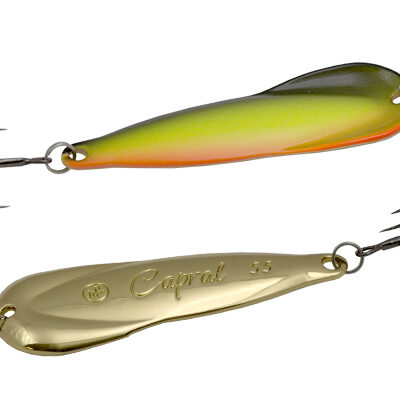 Blizgė ECOPRO Capral 65mm  17g,  FRG