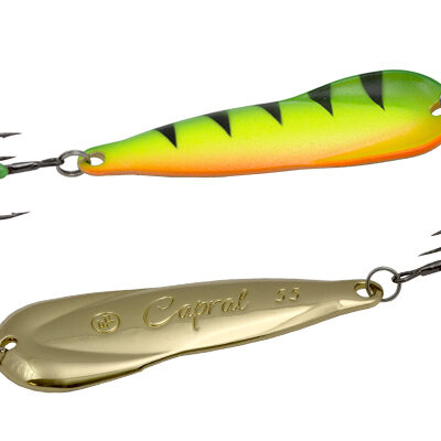 Blizgė ECOPRO Capral 65mm  17g,  FTG