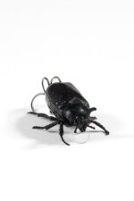 Vabalo tipo spiningo masalas plėšrioms žuvims