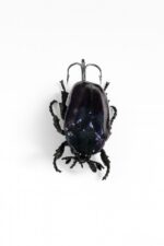 Vabalo tipo spiningo masalas plėšrioms žuvims