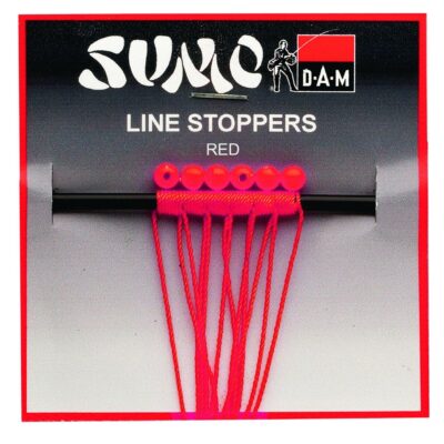 SVS DAT030 MS.jpg