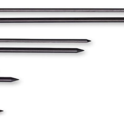 Prologic Element Dual Point Bank Stick karpinei žvejybai