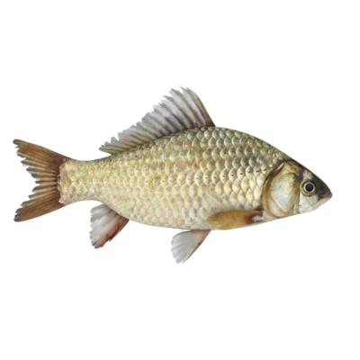 Jaukas Karosui