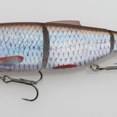 SG 4Play V2 Swim&Jerk 16.5cm 35g SS 02 Roach